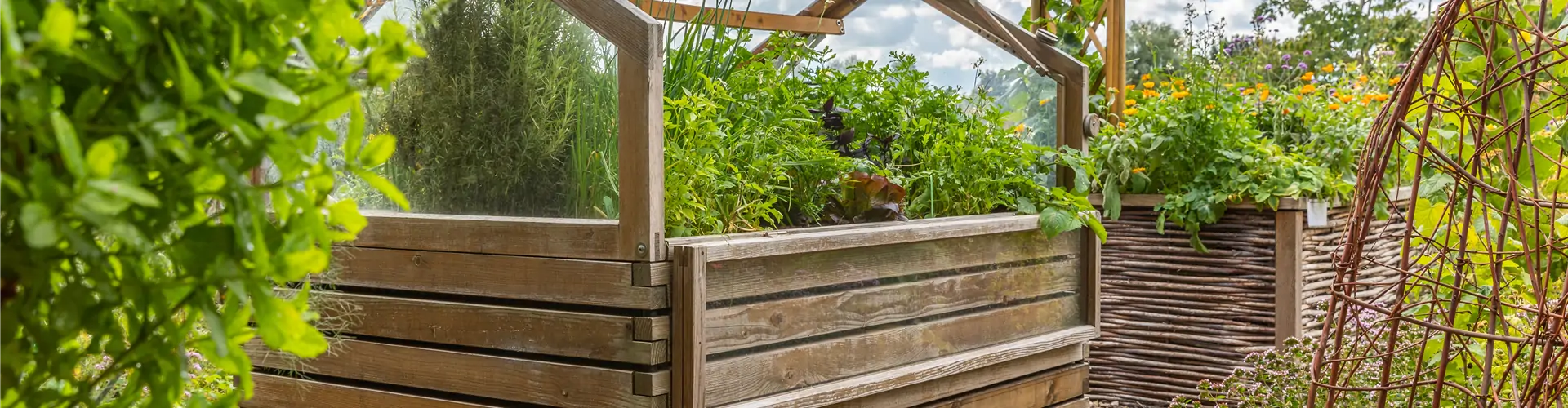 Hochbeet 