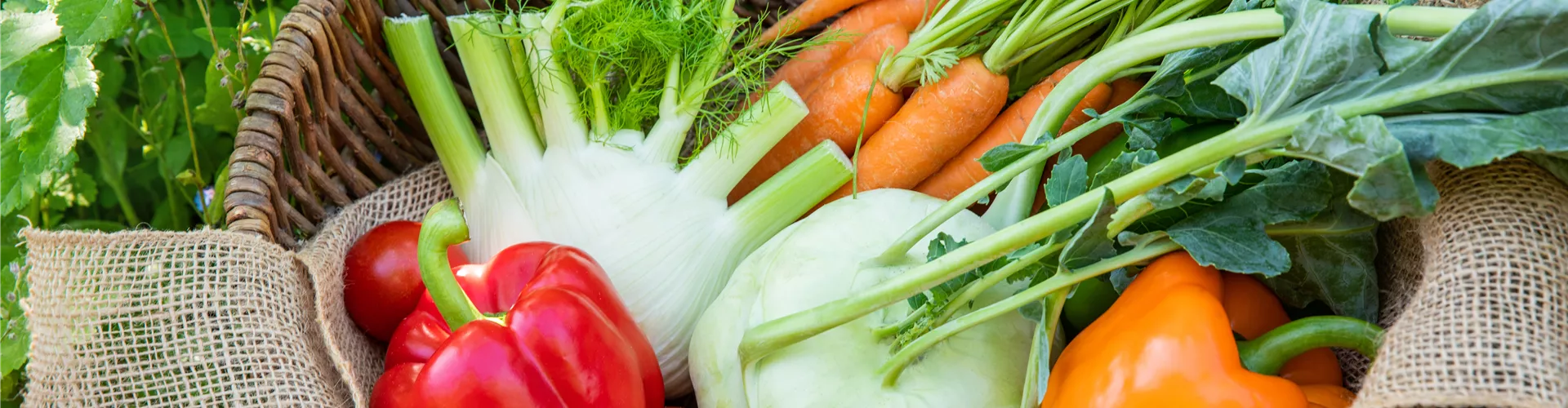Gemüse im Korb