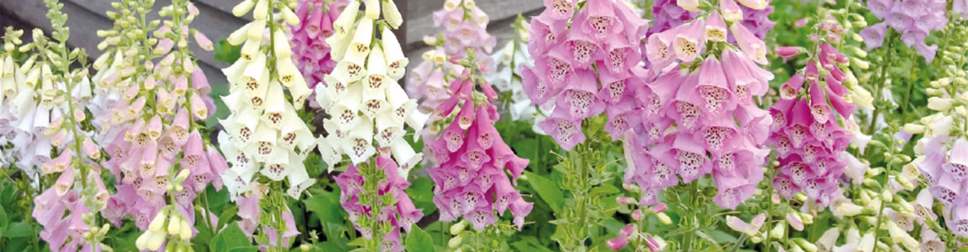 URLAUBSFLAIR FÜR ZUHAUSE. 