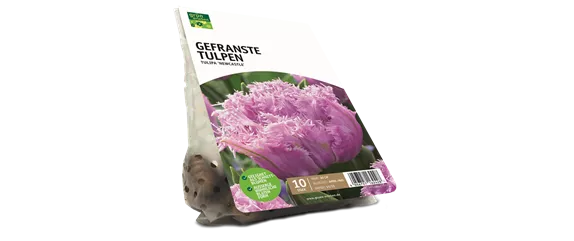 JETZT PFLANZEN, SPäTER STAUNEN!