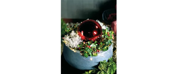 LICHTBLICKE IM WINTER-GARTEN!