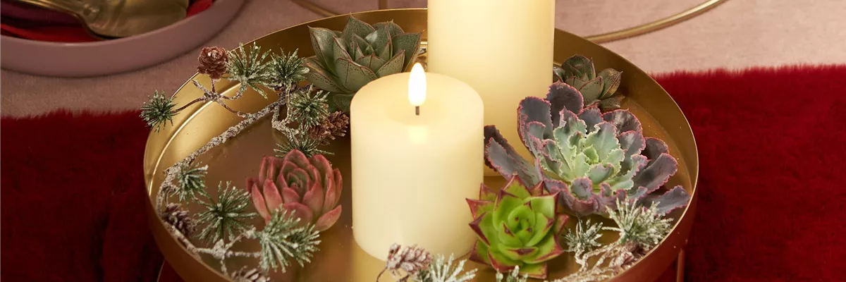 GE10000024-0-1877-2616-1471