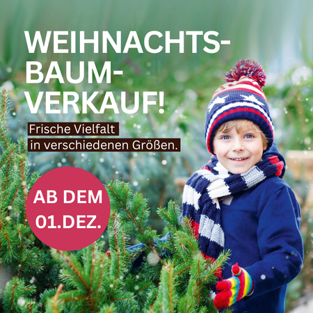 Weihnachtsbäume!