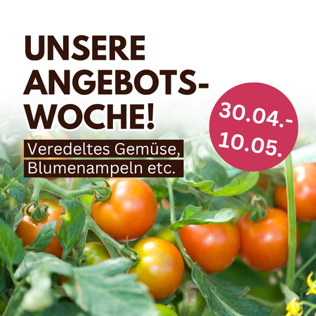 Aktuell im Angebot!