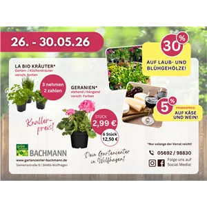 Aktuell im Angebot!