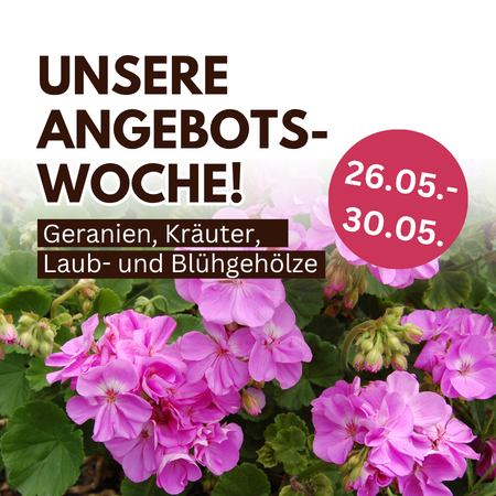 Aktuell im Angebot!