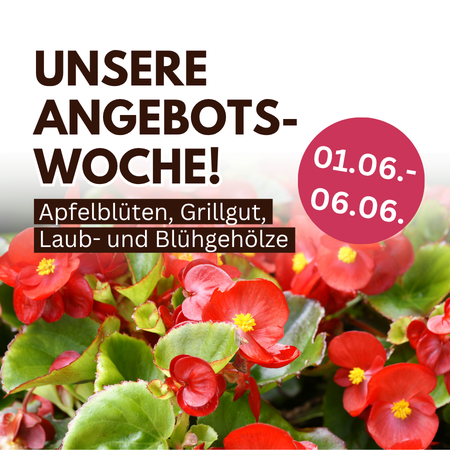 Aktuell im Angebot!