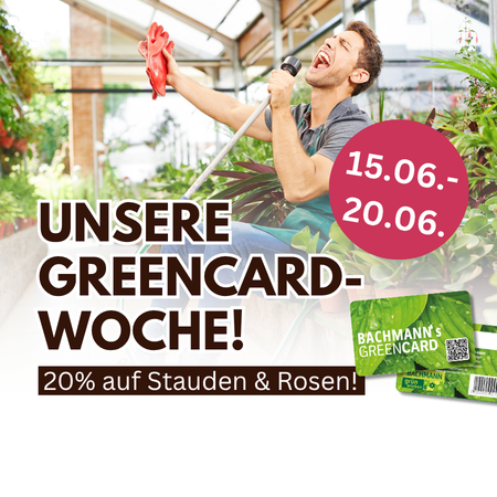 Aktuell im Angebot!