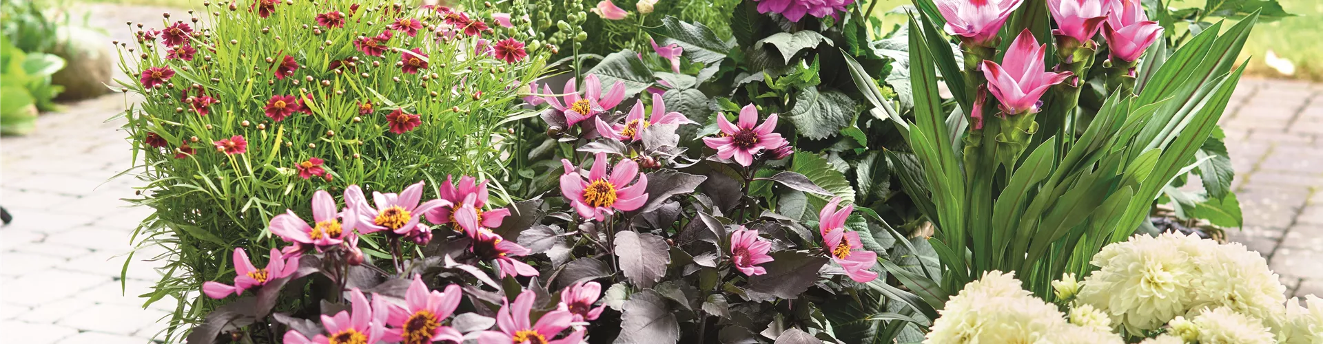 BLÜHENDER GARTEN! AUSDAUERNDE STAUDEN FÜR TERRASSEN UND BEETE. 