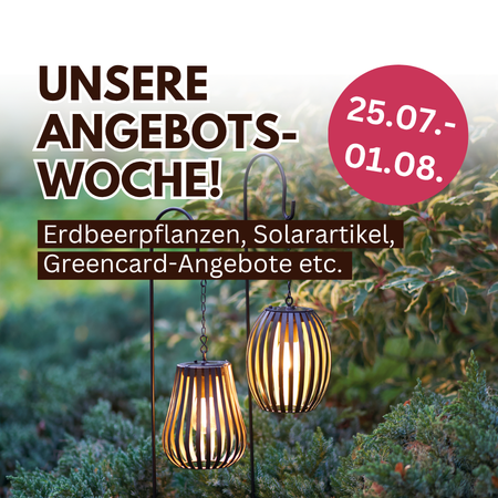 Aktuell im Angebot!