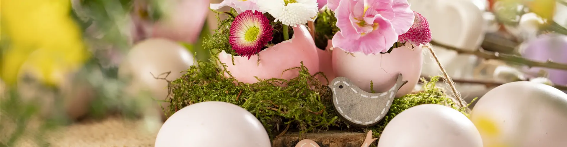Osterambiente mit Bellis